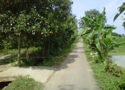 tanah wakaf