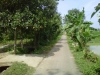 tanah wakaf